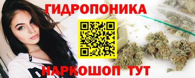 дмт Будённовск
